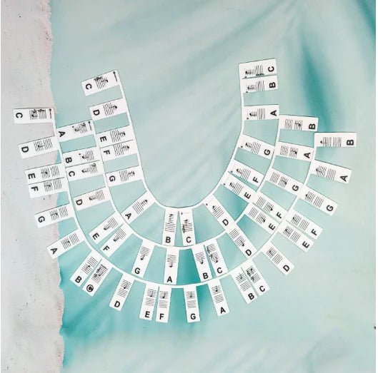 Piano Key Labels